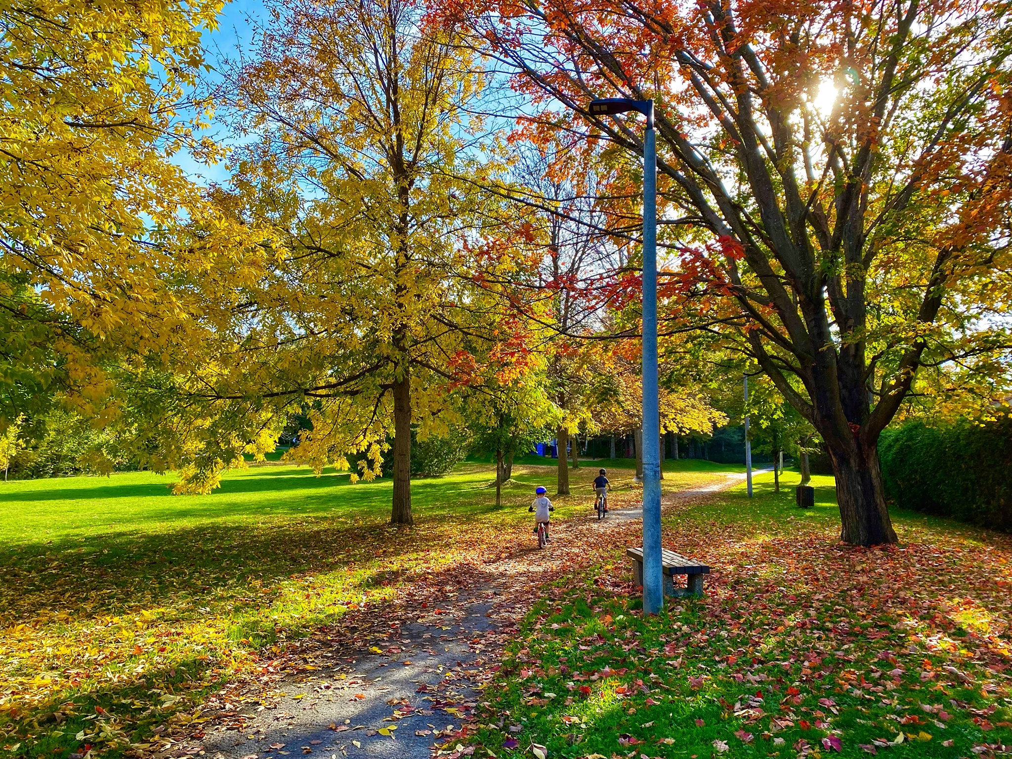 Neighbourhood Highlight: Katimavik katimvaik - Neighbourhood Highlight: Katimavik