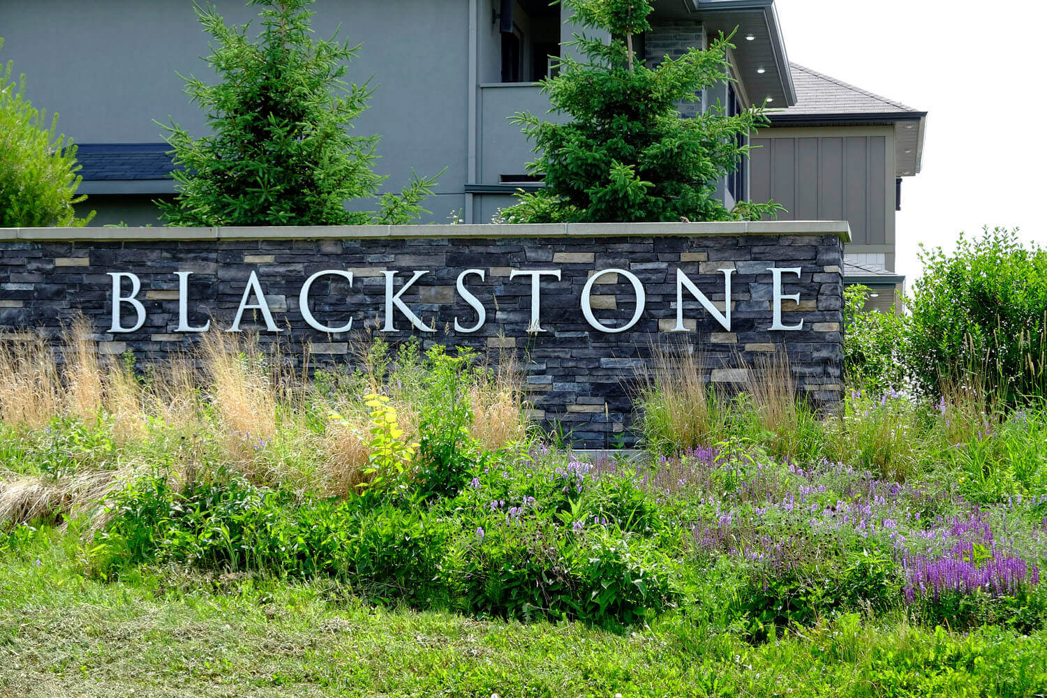 Home blackstone cardel homes 021 1 - Home