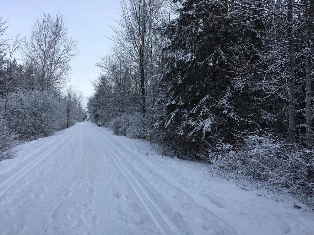 Karen Stanford Trans Canada Trail near Robertson Rd. - The Importance of Trails and Greenspaces