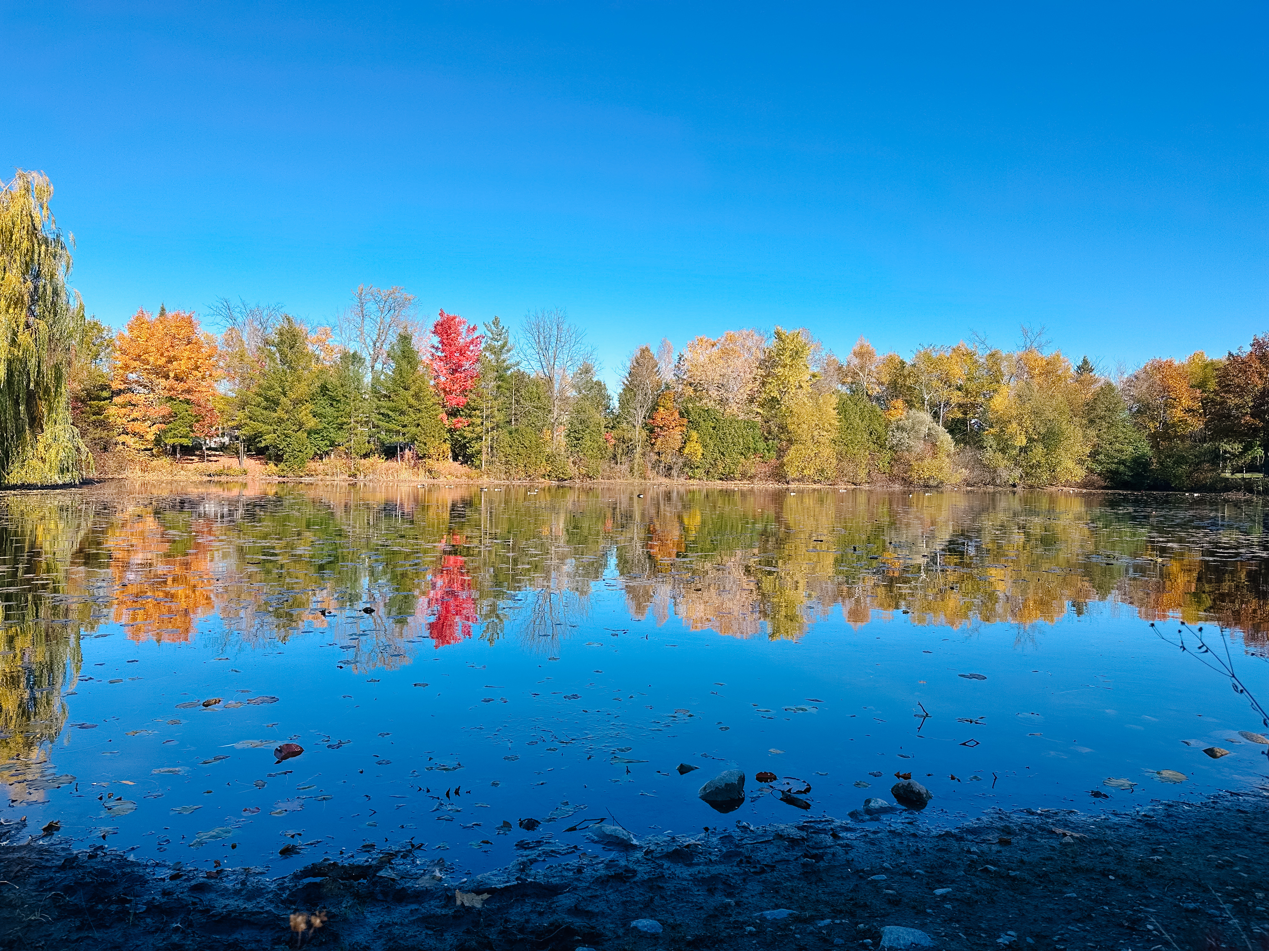 IMG 0590 - Neighbourhood Highlight: Forest Creek, Stittsville