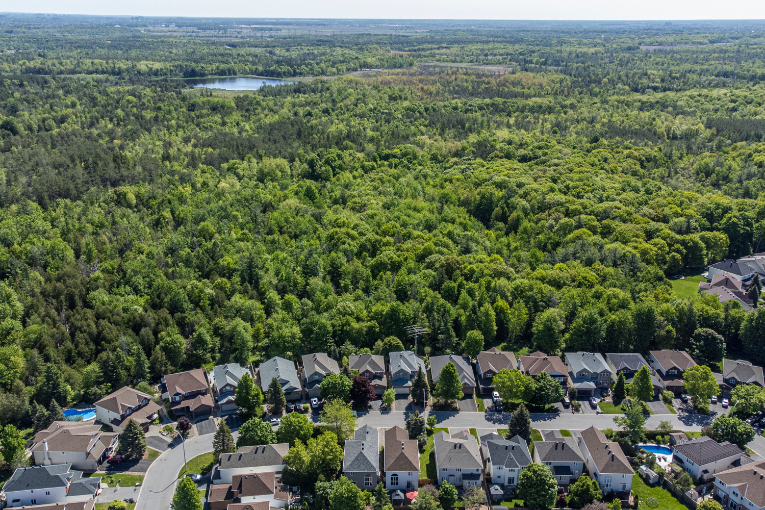 10 6 - Neighbourhood Highlight: Bridlewood