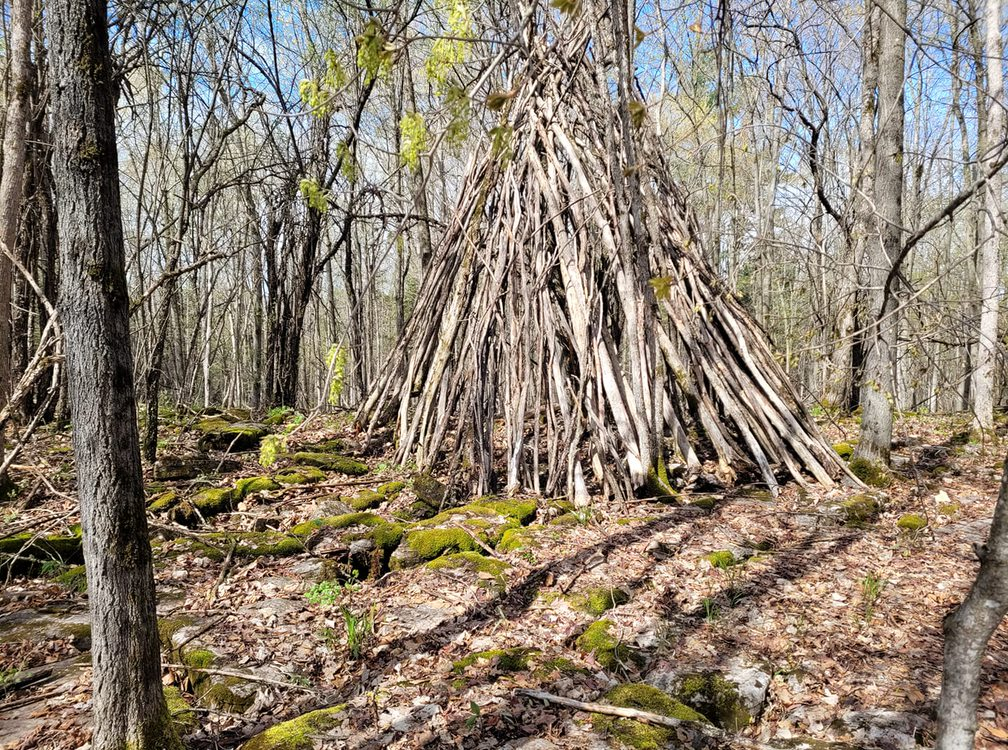 Nancy Trowbridge Doan Trail off Martin St N in Almonte - The Importance of Trails and Greenspaces