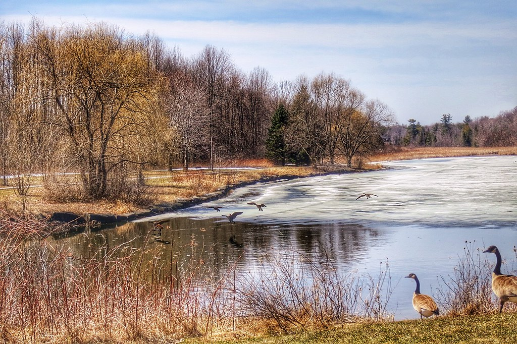 16969605940 1cb8b3481f b - Neighbourhood Highlight: Kanata Lakes