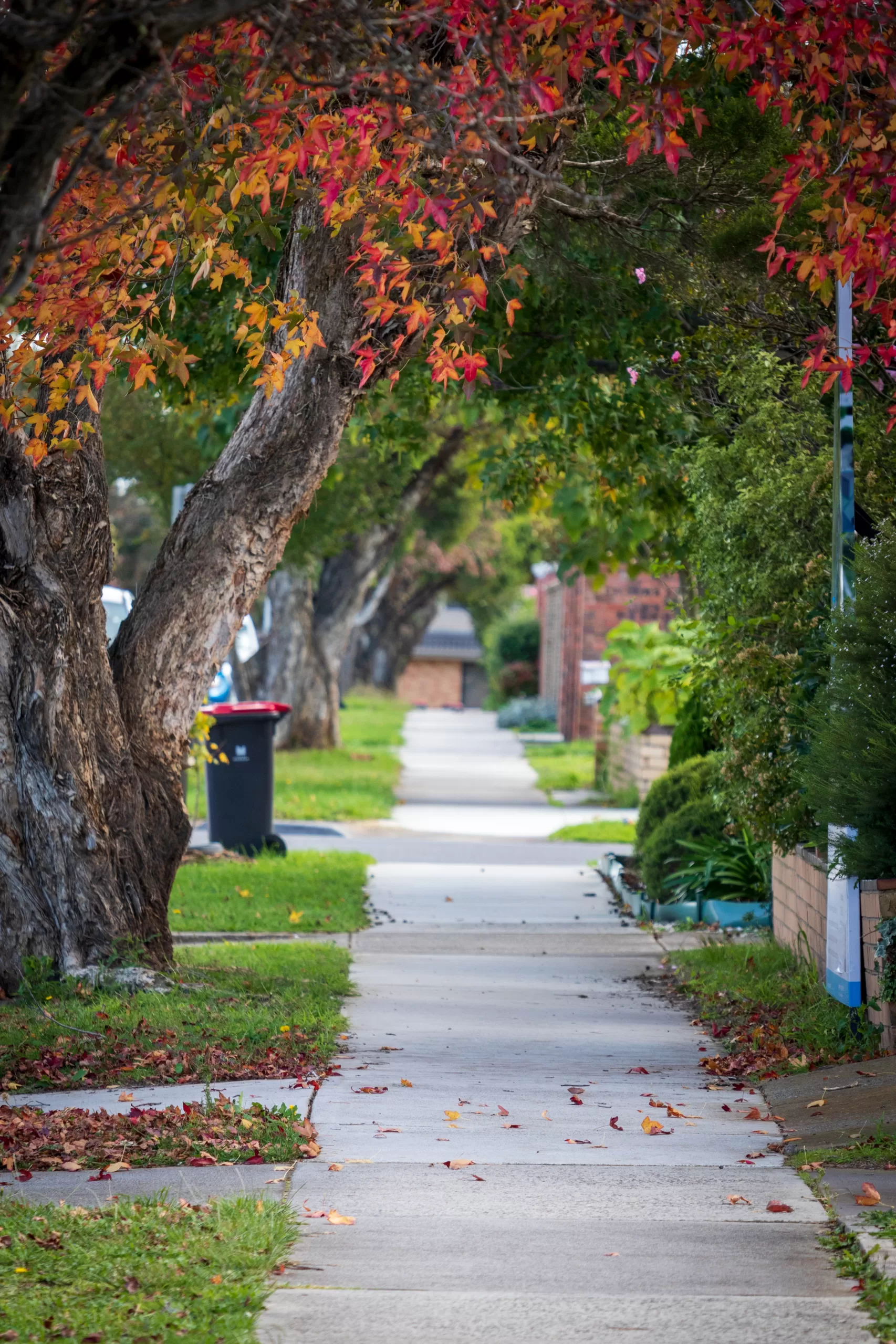 alex k wUu8Lnd5Vj8 unsplash scaled - Neighbourhood Highlight: Kanata Lakes