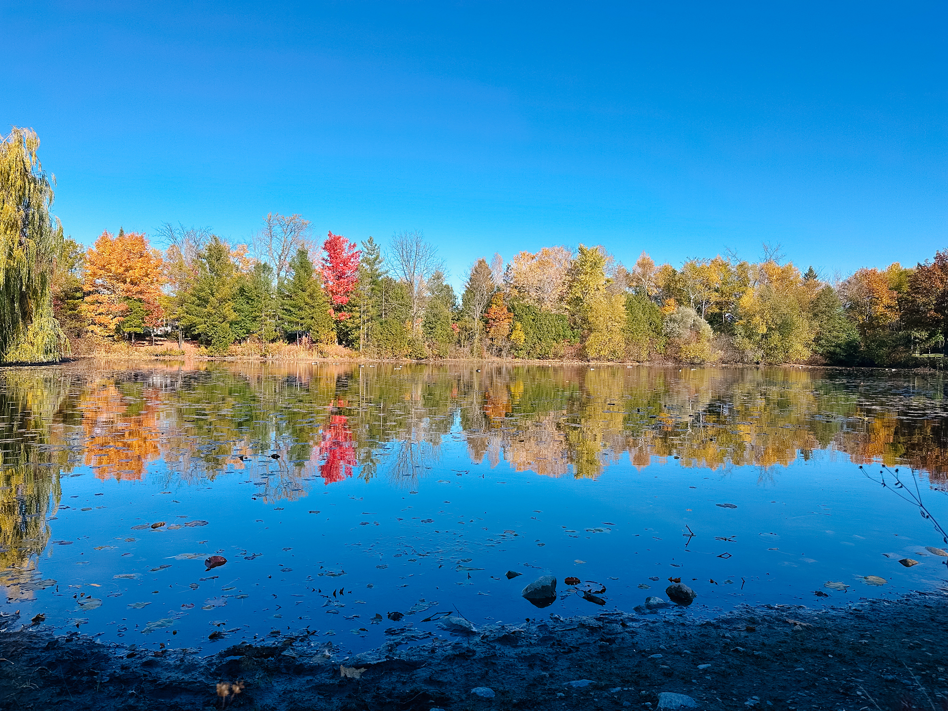 IMG 0590 - Neighbourhood Highlight: Forest Creek, Stittsville