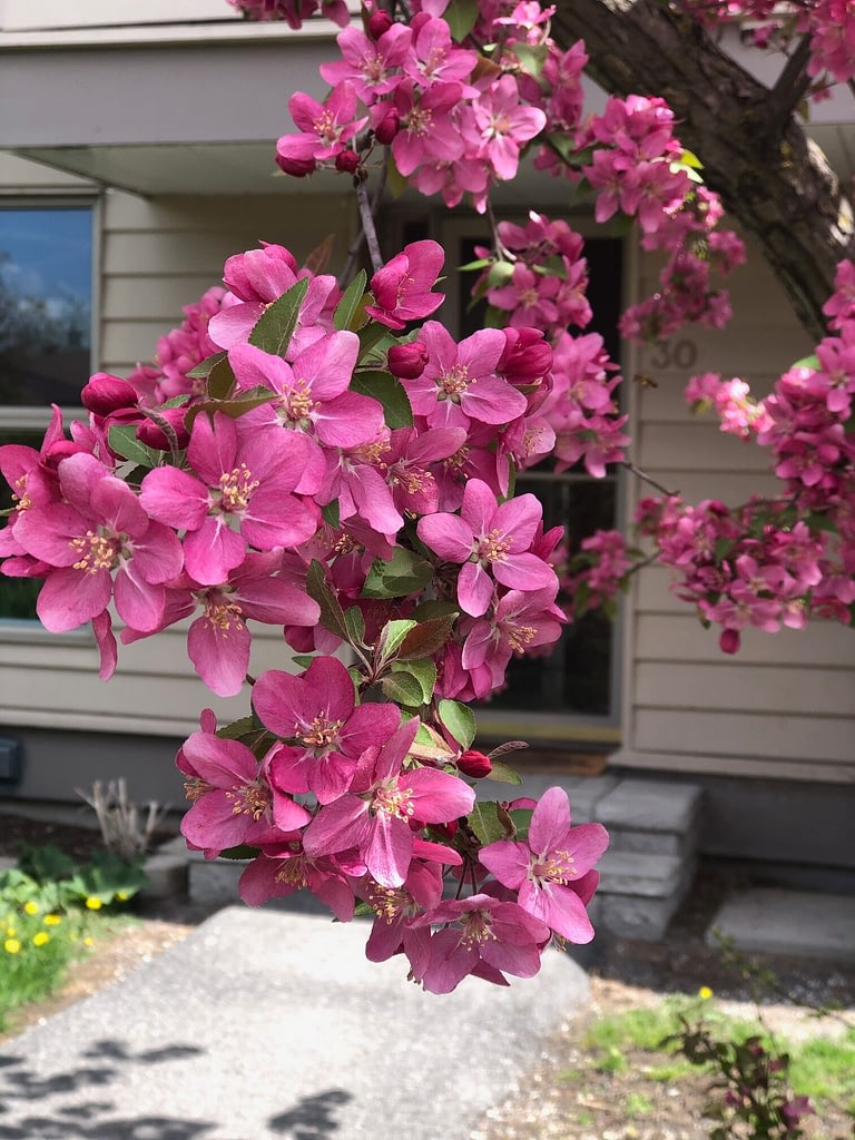 Neighbourhood Highlight Beaverbrook, Kanata Barb & Carole Real