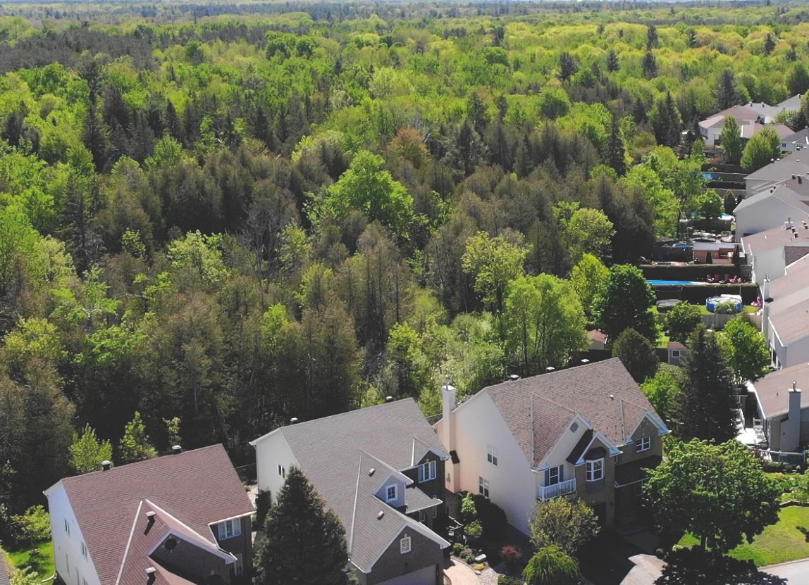 Neighbourhood Highlight Bridlewood Barb & Carole Real Estate Team